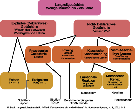 Gedächtnis