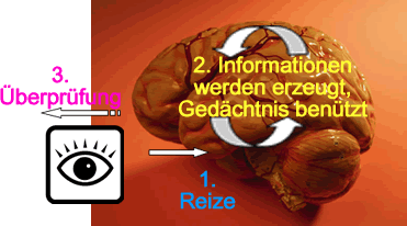 Reizaufnahme