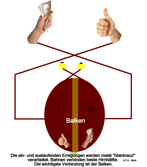 Ueberkreuzverdrahtung