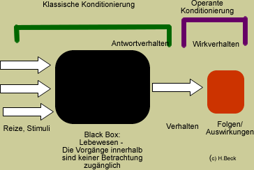 Vergleich