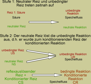 download holt science