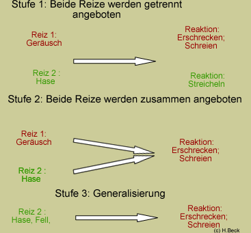 Pins Padagogik Im Netz