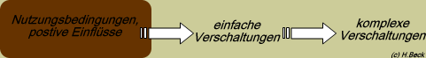 Verschaltung